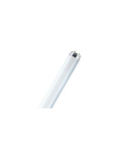 FLUORESCENTE LED LIBERTINA 18W 1.20